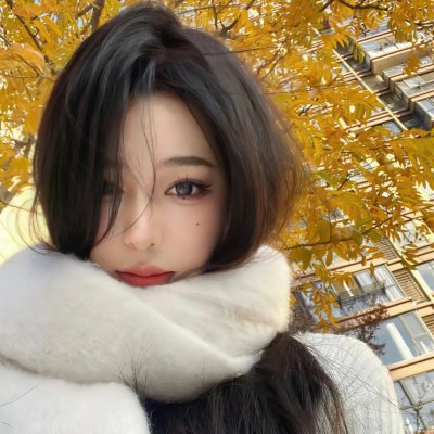 长袜子皮皮的新历险