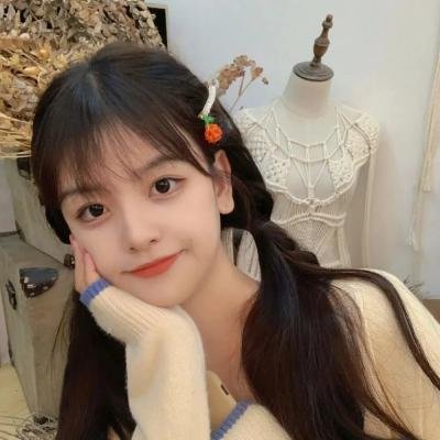 孤雏泪
