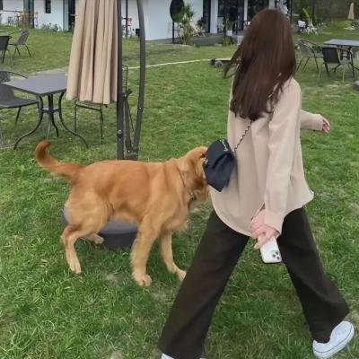 隐世狼女第一季